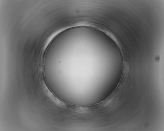 X0000112541148200908311440