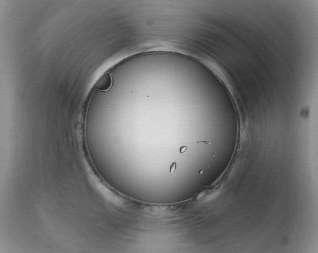 X0000112541149200908311440