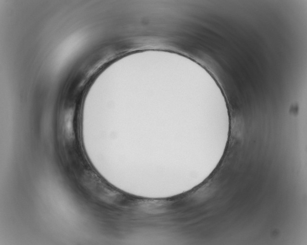 X0000112541150200908311440