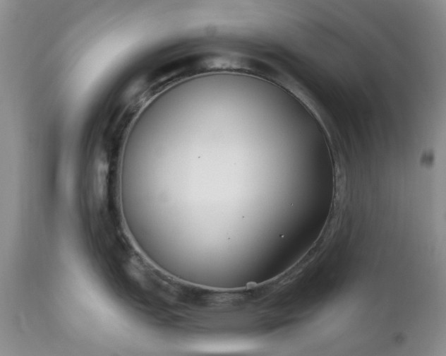 X0000112541151200908311440
