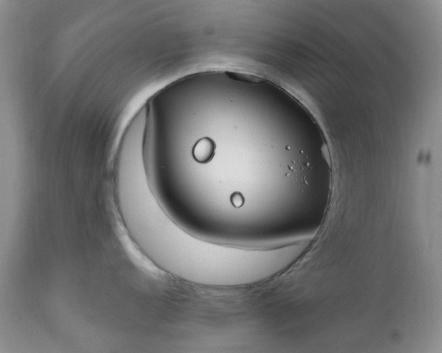 X0000112541152200908311440