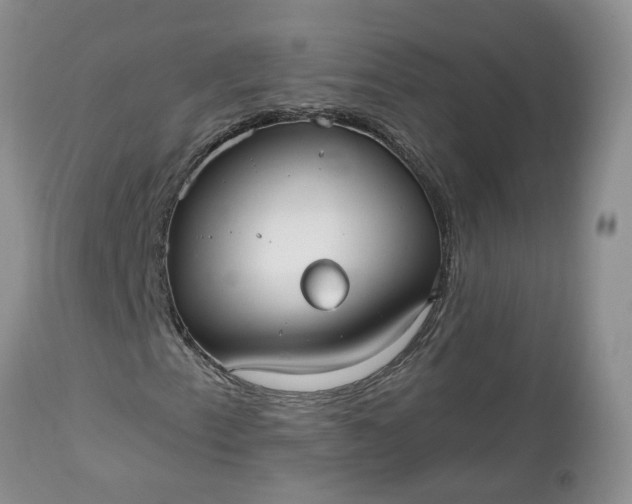 X0000112541153200908311440