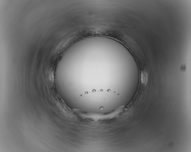X0000112541155200908311440