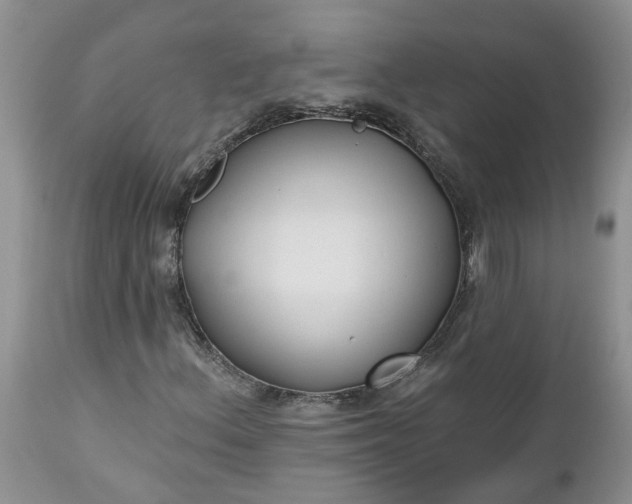 X0000112541156200908311440