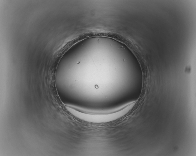 X0000112541157200908311440
