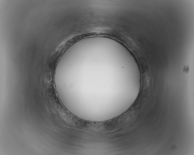 X0000112541158200908311439