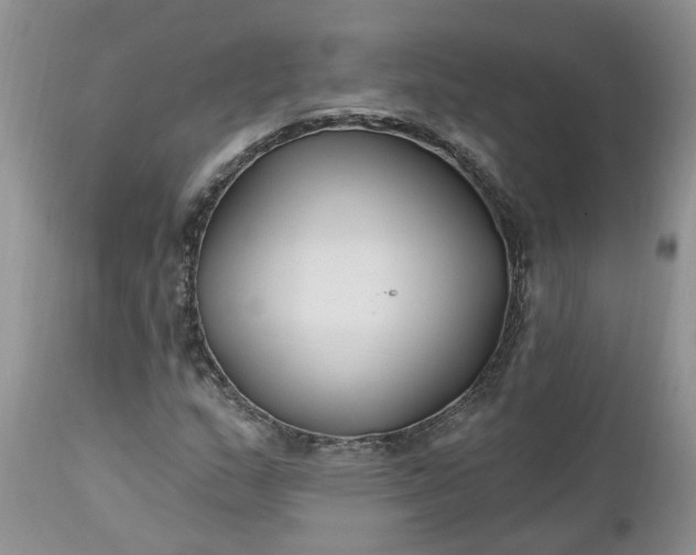 X0000112541159200908311439