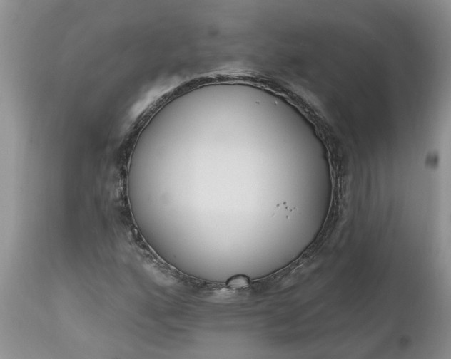X0000112541160200908311439