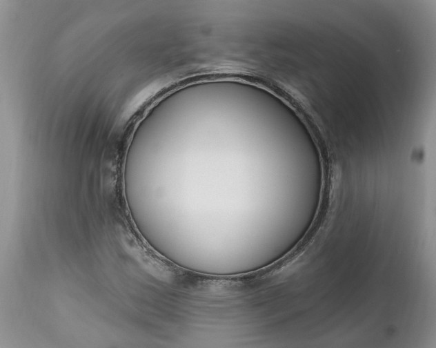 X0000112541163200908311439