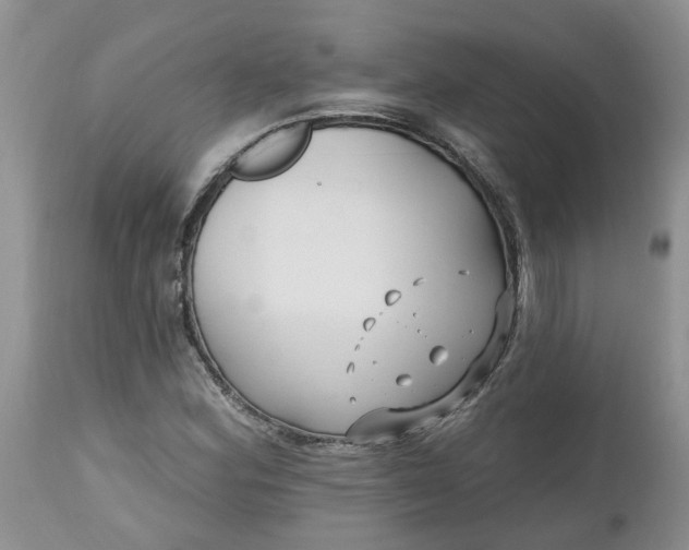 X0000112541164200908311439