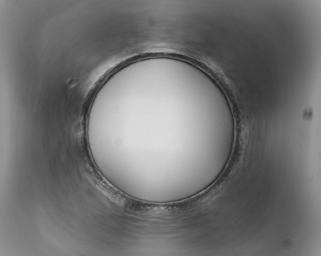X0000112541167200908311439