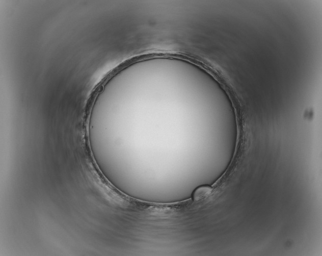 X0000112541168200908311439