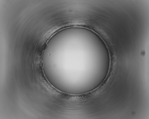 X0000112541169200908311439