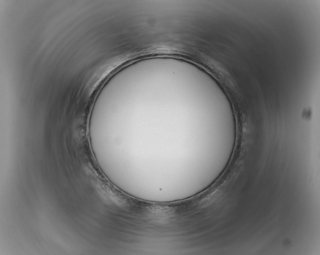 X0000112541170200908311439