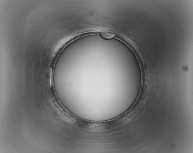 X0000112541171200908311439