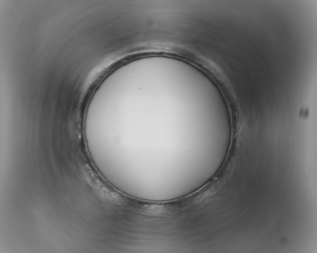 X0000112541172200908311439