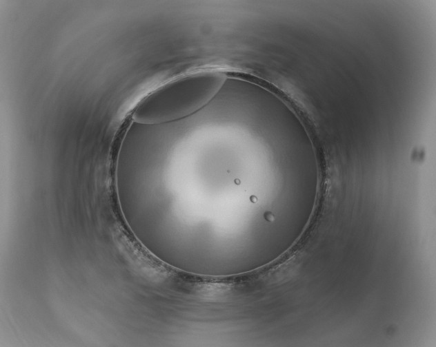X0000112541173200908311439