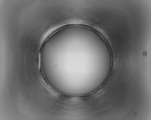 X0000112541175200908311439