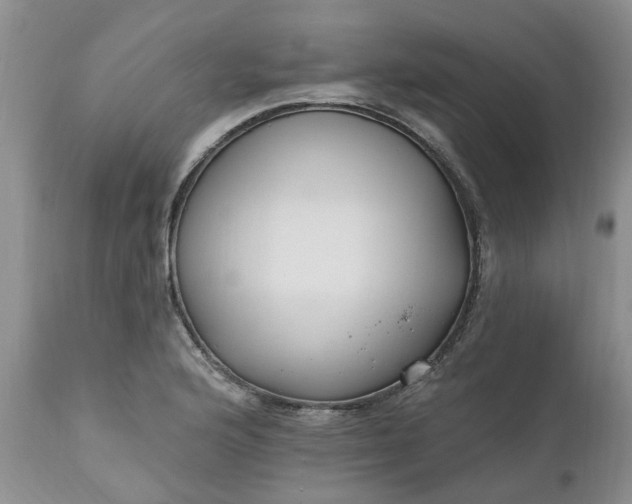 X0000112541176200908311439