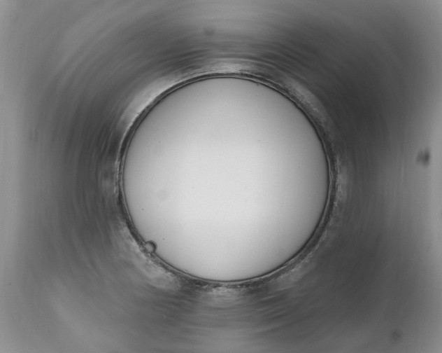 X0000112541178200908311439