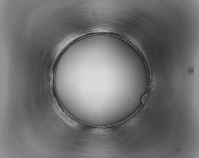 X0000112541179200908311439