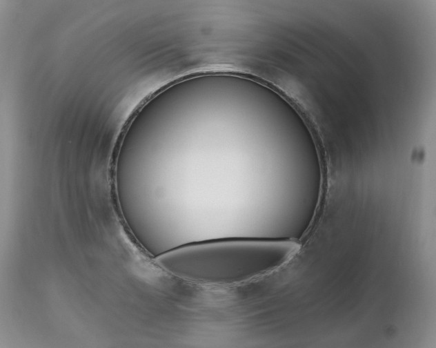 X0000112541181200908311439