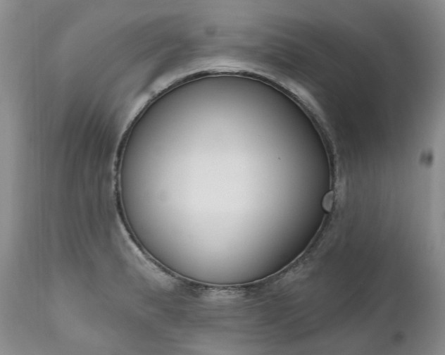 X0000112541183200908311439