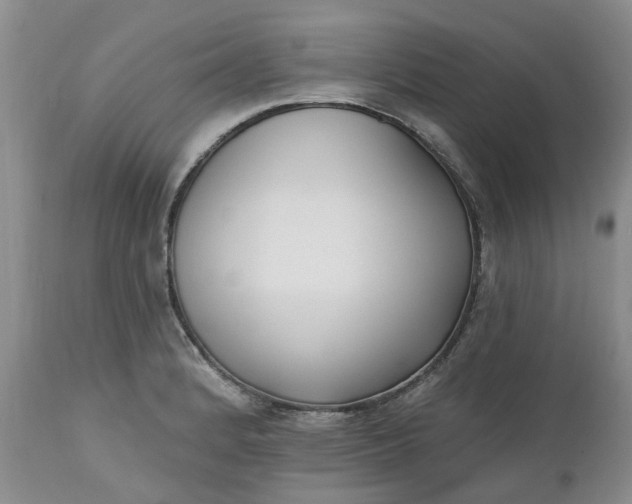 X0000112541184200908311439