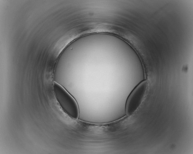 X0000112541185200908311439