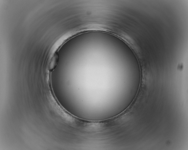 X0000112541188200908311439