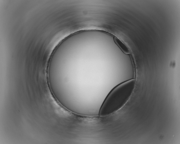 X0000112541189200908311439