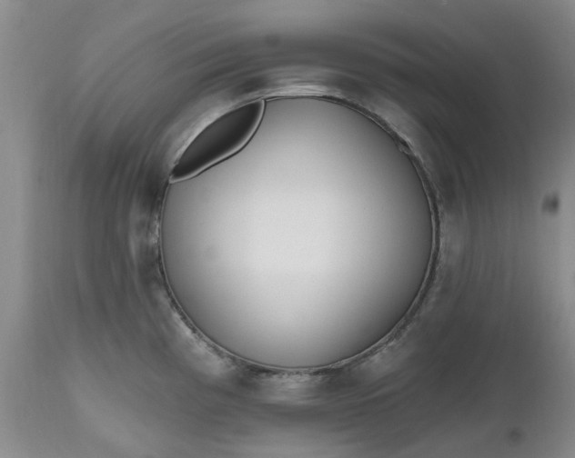 X0000112541193200908311439