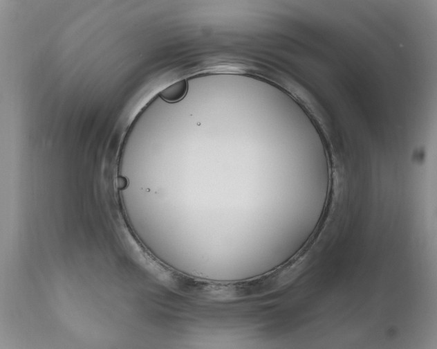 X0000112541194200908311439
