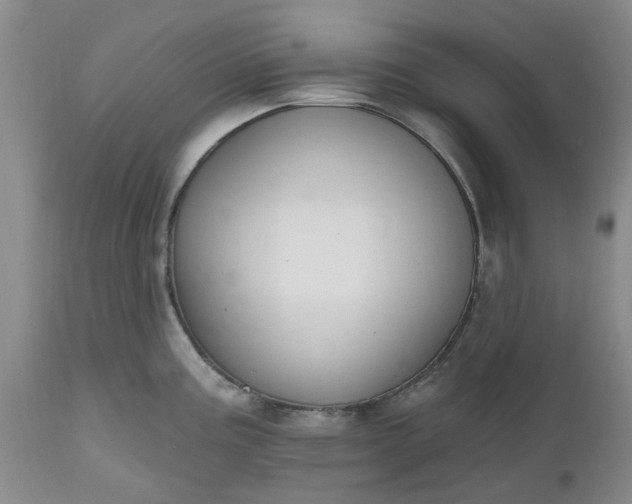 X0000112541195200908311439