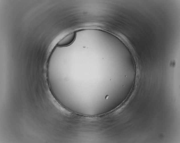 X0000112541196200908311439