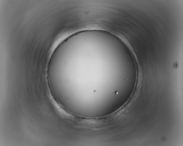 X0000112541197200908311439