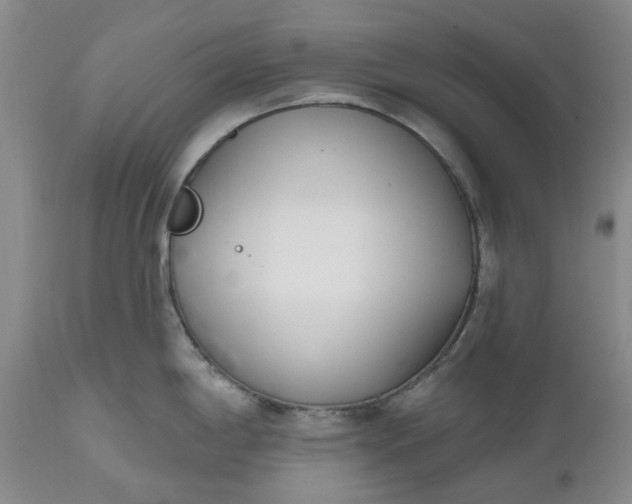 X0000112541198200908311439