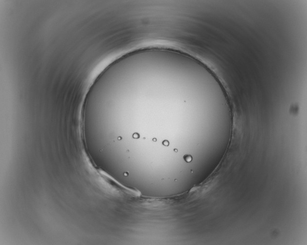 X0000112541199200908311439