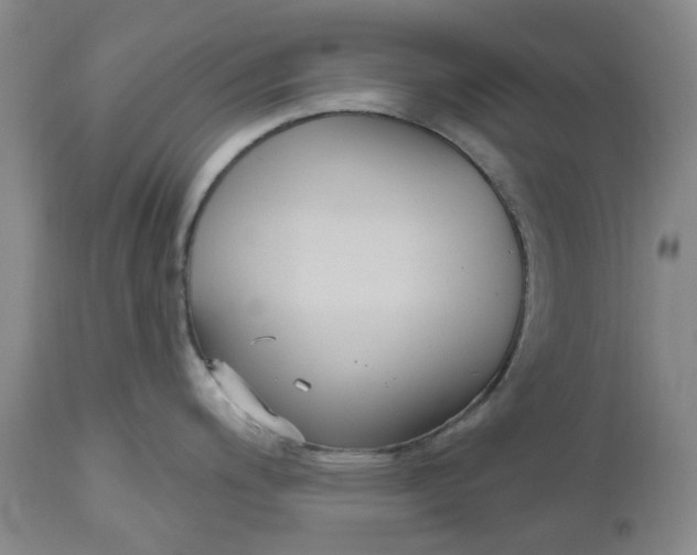 X0000112541200200908311439