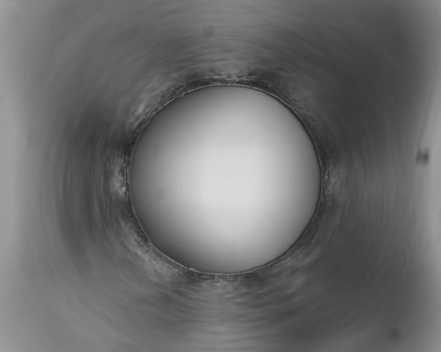 X0000112541202200908311438