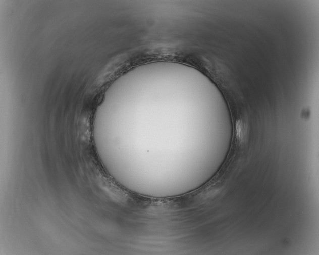 X0000112541203200908311438