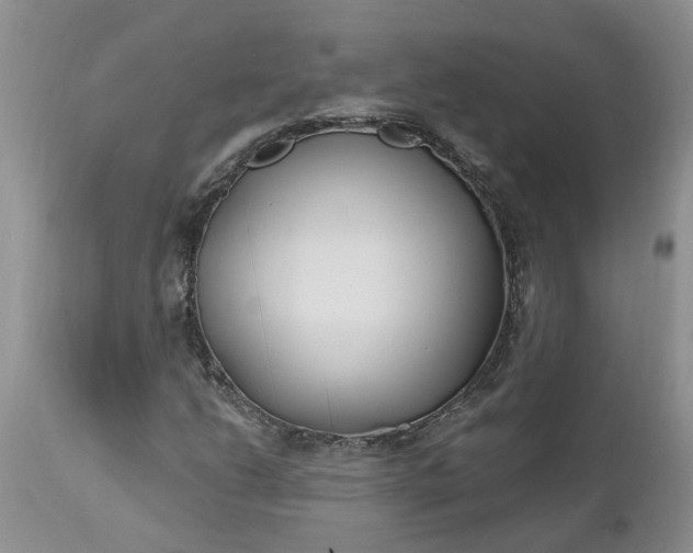 X0000112541206200908311438