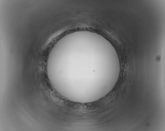 X0000112541207200908311438