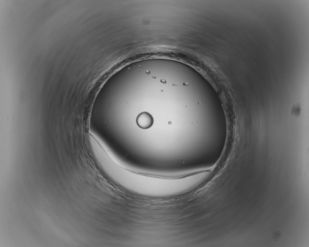 X0000112541209200908311438
