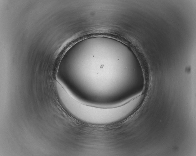 X0000112541210200908311438