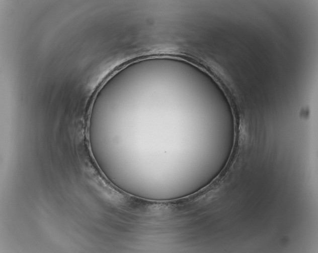 X0000112541212200908311438