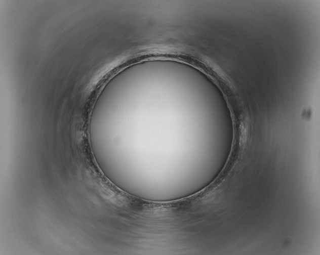 X0000112541213200908311438