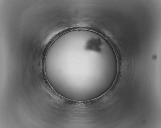 X0000112541214200908311438