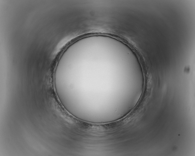 X0000112541215200908311438