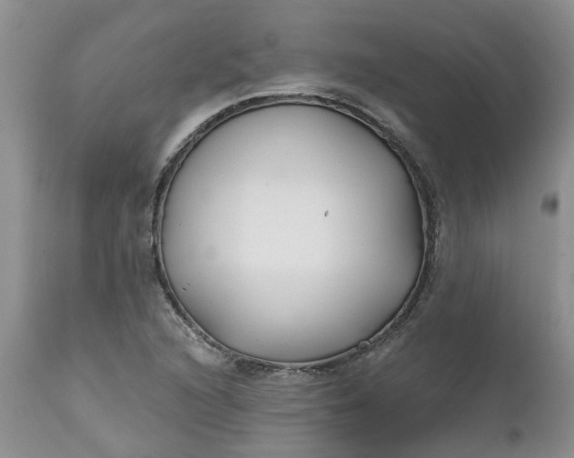 X0000112541216200908311438